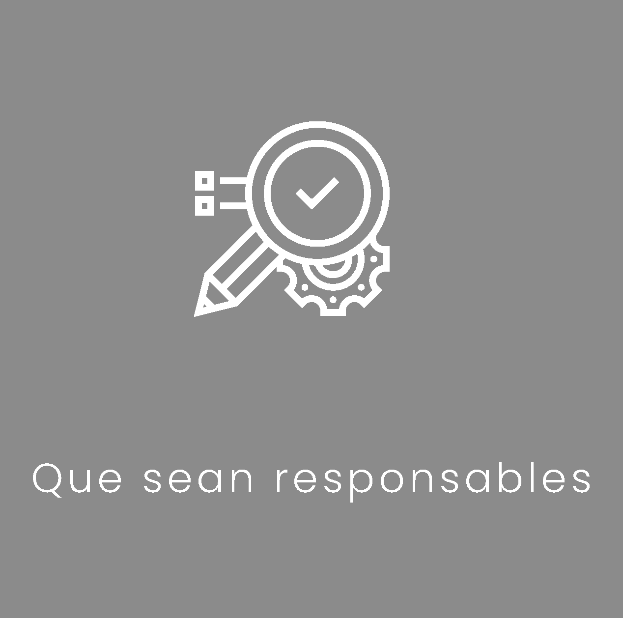 Inicio Remax Village